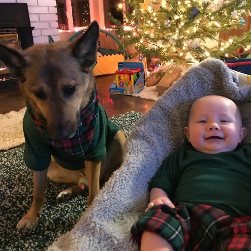 baby and his dog, best friends